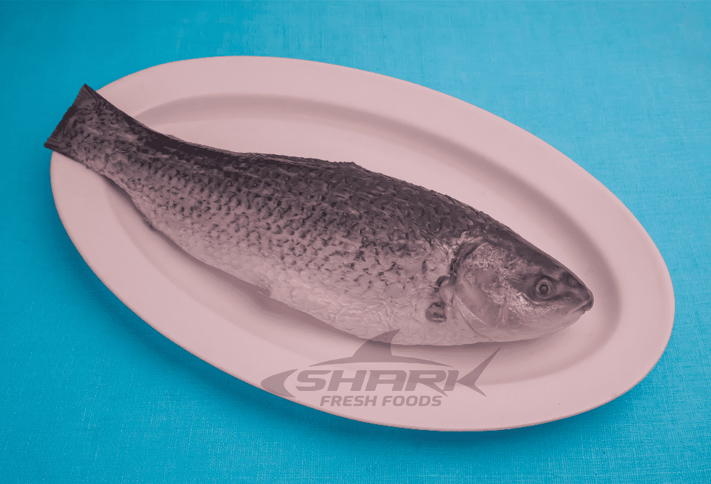 Rohurui 1kg To 15kg Shark Fresh Foods